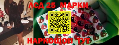 трава Гатчина