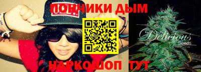 шишки Гагарин