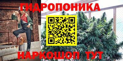 a pvp Гусев