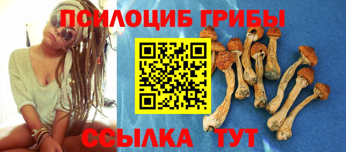 цены наркотик  Галлюциногенные грибы Psilocybe  Вход с VPN  Нижнеудинск  Галлюциногенные грибы MAGIC MUSHROOMS 
